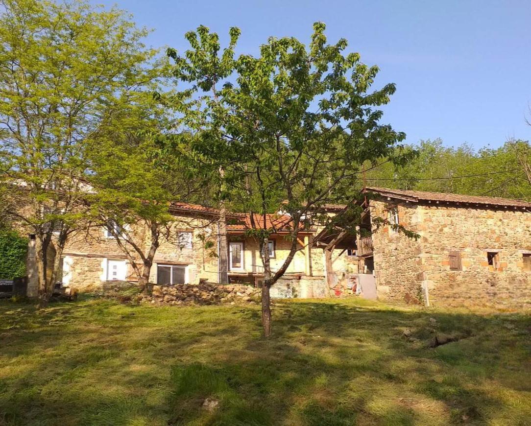 Holiday home Des Catalpas Vollore-Ville